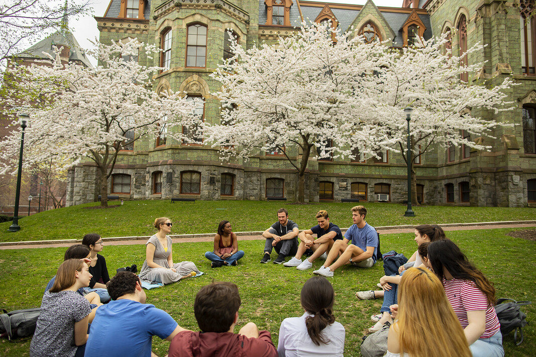 A class of students seated beneath flowering cherry trees discussing academic course work.